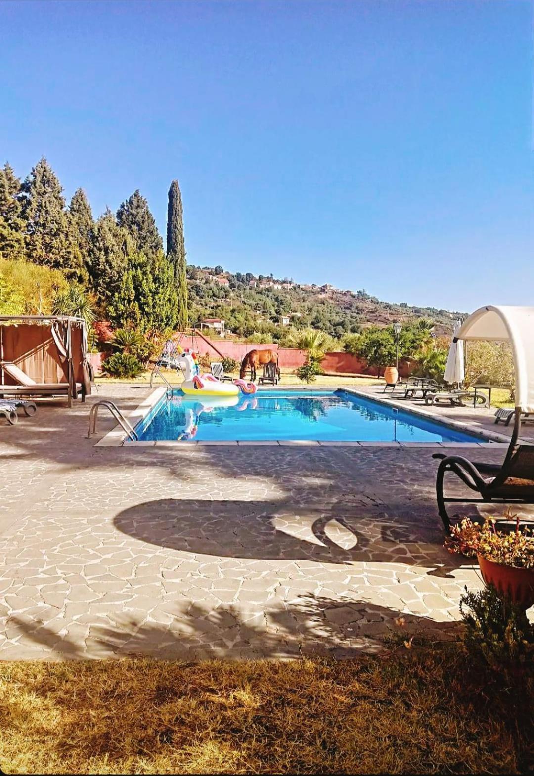 Villa Alessio - Case Vacanza Con Piscina Sull'Etna Puntalazzo Kültér fotó